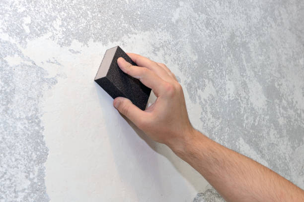 Best Mold Remediation for Healthcare Facilities  in Belle Plaine, IA