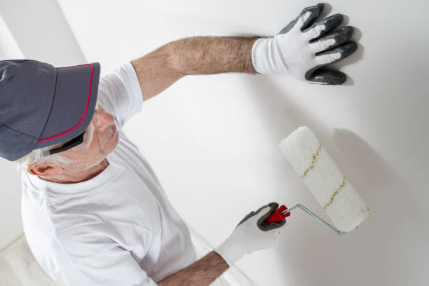 Best Post-Construction Mold Inspection  in Belle Plaine, IA