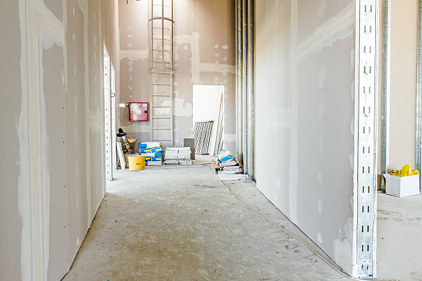 Professional Mold Removal in Belle Plaine, IA