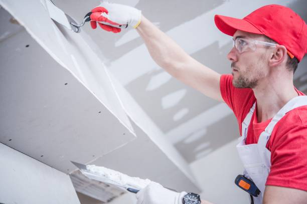 Best Mold Damage Restoration  in Belle Plaine, IA